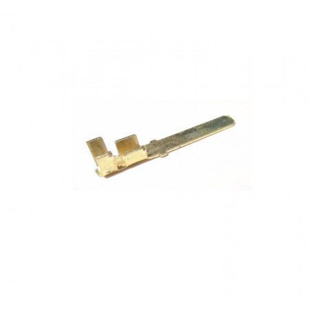 terminal espada econÃ³mica