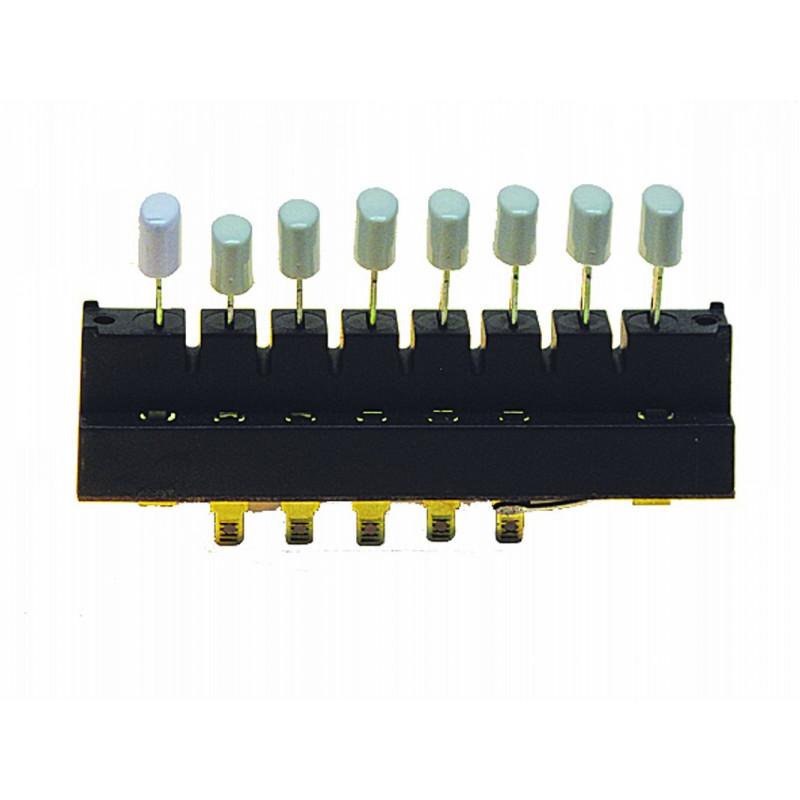 Teclado apagador 10 vel. pulso tecla ovalada | Piezas para LICUADORA