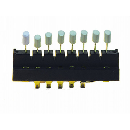 Teclado apagador 10 vel. pulso tecla ovalada | Piezas para LICUADORA